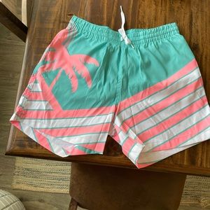Men’s 5.5in Chubbie Swim Trunks